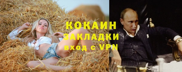 spice Алзамай