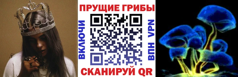 Псилоцибиновые грибы мухоморы  Верхняя Салда 